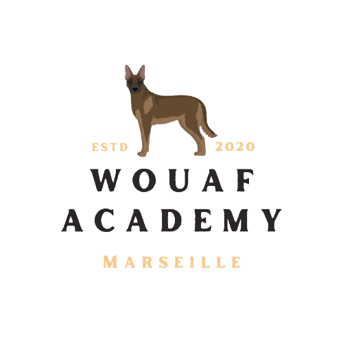 wouafacademy.fr